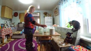 Жизнь простой семьи на Алтае,А на ужин Бамбук