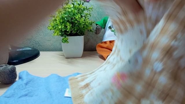 что нужно басикам на море?