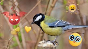 ФУТАЖ  ДЛЯ ВИДЕОМОНТАЖА