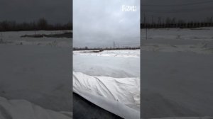 Новый способ зимнего укрытия в питомнике ЁЛЫ-ПАЛЫ