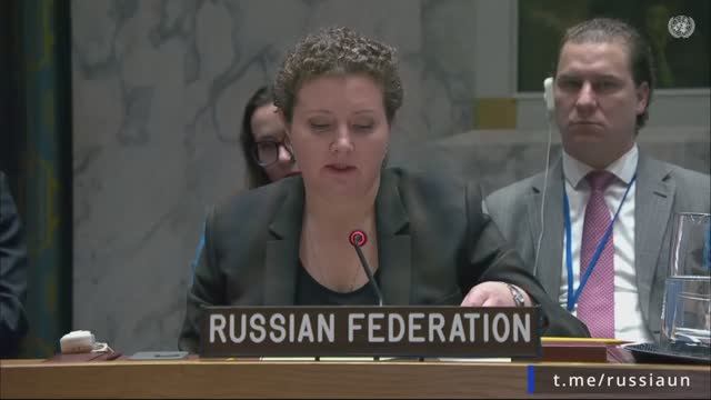 А.М.Евстигнеева на заседании Совета Безопасности ООН по Южному Судану, Нью-Йорк, 11 ноября 2025 г.