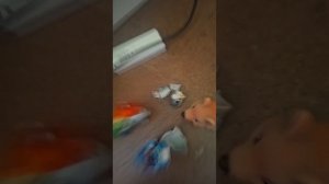 3 сезон 41 серия смерть лизок