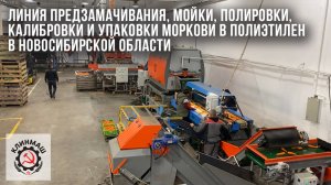 Линия предзамачивания, мойки, полировки, калибровки и упаковки моркови в полиэтилен