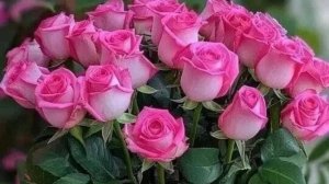 Vlog/161/ Тесто на пельмени/ Ответила на комментарии/ Винегрет и овощи на ужин...