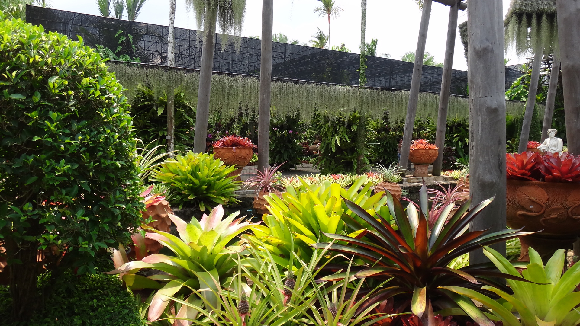 ПУТЕШЕСТВИЕ В ТАИЛАНД. ТАЙ. КРАСОТА ТАИЛАНДА. ТАИЛАНД