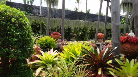 ПУТЕШЕСТВИЕ В ТАИЛАНД. ТАЙ. КРАСОТА ТАИЛАНДА. ТАИЛАНД