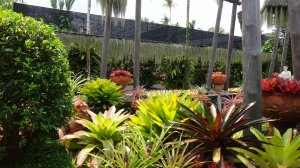 ПУТЕШЕСТВИЕ В ТАИЛАНД. ТАЙ. КРАСОТА ТАИЛАНДА. ТАИЛАНД