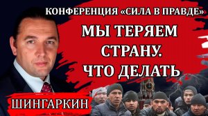 Нашествие мигрантов. Мы теряем страну. Что делать / Максим Шингаркин