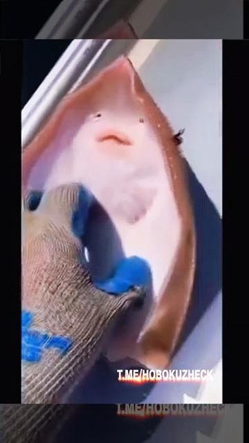 Щекотка-щекотка)) #Shorts #юмор смотреть онлайн