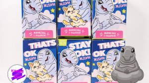 Сюрпризы-игрушки! Коробочки Свит Бокс с серией Ждун, с подарком и мармеладом.