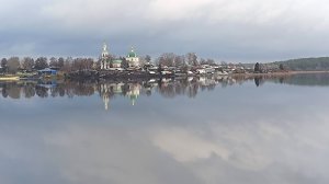 2.25 из жизни ❤️водоплавающих  🌊 🦆🌊