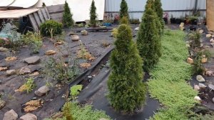 9.11.25 завершение сезона 2025