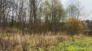 д. Лидино, д.19а