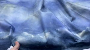 Хлопок синего цвета с принтом корабль в море 14413