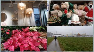 Выбросил  и уехал.Лемано Про г.Псков