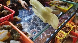 Китай, Шэньчжэнь: "Птичий рынок" аквариумных рыб