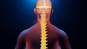 Сайт Гаряев-Матрицы.рф для Шейного Отдела Позвоночника ☀️ Полное Вос