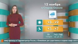 Погода в Старом Осколе на 12 ноября