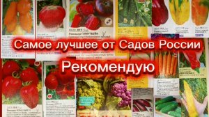 Заказала от Садов России всё самое лучшее.Семена,которые рекомендую.