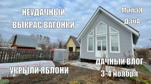 Неудачный выкрас вагонки | Стройка | Дачный влог 3-4 ноября