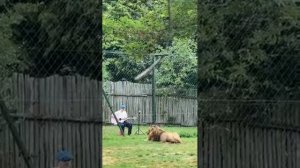 Музыка нас связала.🎶