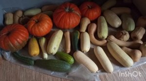 МОИ ДОМАШНИЕ ЦВЕТЫ,САМА УЕХАЛА ОТДЫХАТЬ, В ДОЧЬ ЗА НИМИ УХАЖИВАЕТ.