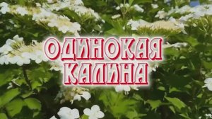 ОДИНОКАЯ КАЛИНА. Стихи. Л. Поливанова, муз. С. Стародубцев, вокал. Л. Великанова, звук. А. Макалиш