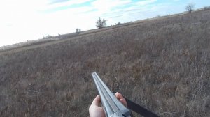 Хитрый заяц!Охота на зайца