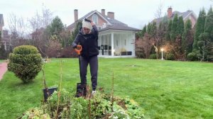 Теплый ноябрь? Продолжаем посадки!