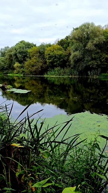 И в чем он не прав? 😁😁😁