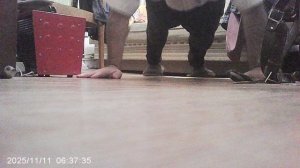 Периодически выполняю физкультурные упражнения