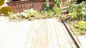 Поездка в Анапу 2025 пос. Витязево