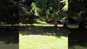 Санаторий "Озон" (Теберда)