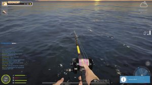 Русская рыбалка 4🎣🎏ФАРМ🦈ВСЕМ ПРИВЕТ И УДАЧНОГО КЛЁВА!!!!!!