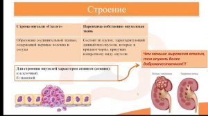 Видео-лекция №26.2. Опухоли