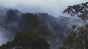 Западные Гаты