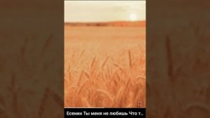 Есенин:Ты меня не любишь,не жалеешь...