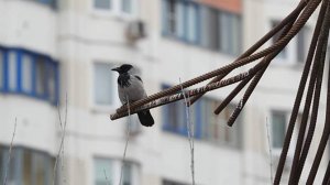 Народные приметы на 11 ноября: что можно и нельзя делать