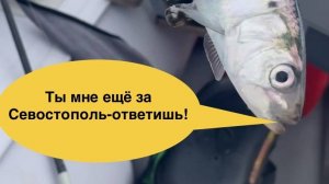 Рыбалка в Крыму. И не только.