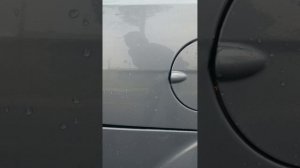 VID_20251111_152952_665.mp4