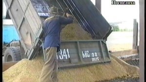 уборка ООО Мелира Мамонтово  2008г