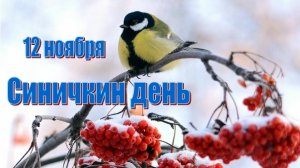 12.11.25 - Синичкин день