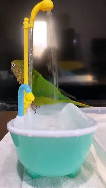 Водные процедуры