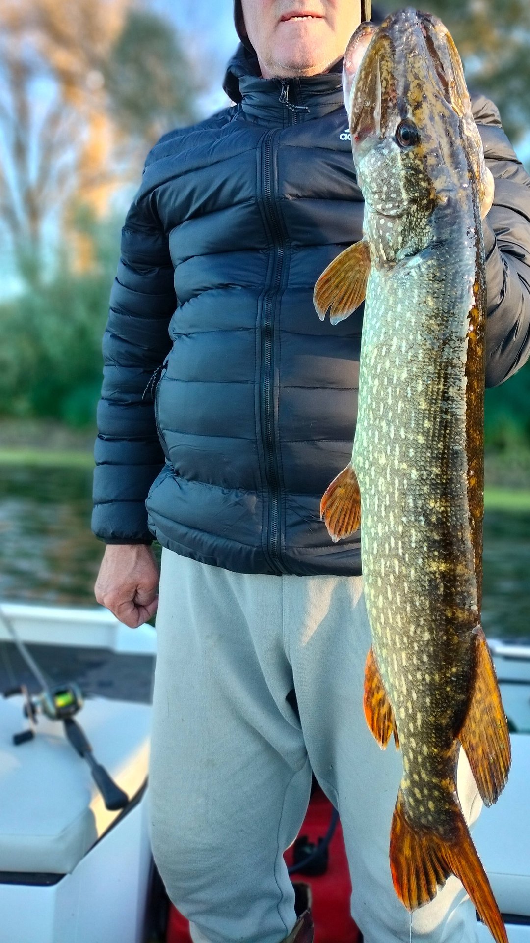 Щучка убежала смотреть онлайн