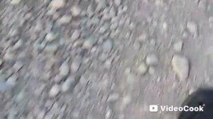 Идём в школу с другом