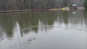 Бомбарда и закидушка в деле. Клёвое место, Лосиный остров, нижний водоём.