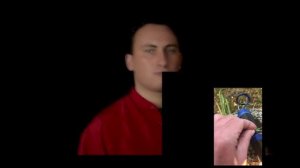 Солнце светит всем