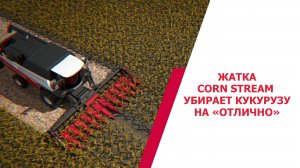 Жатка CORN STREAM убирает кукурузу на «отлично»
