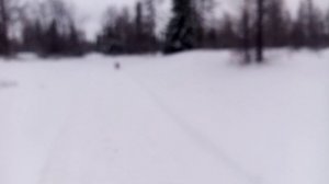 Зима уже в разгаре