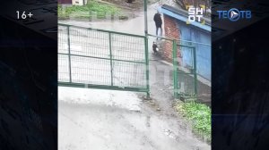 Собачий мясник понесет наказание